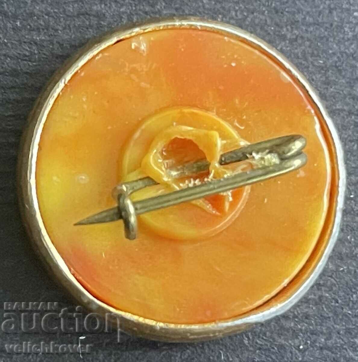 36135 USSR space badge cosmonaut with price 3.00 BGN | € 1.53 36135 USSR space badge cosmonaut with price 3.00 BGN | € 1.53