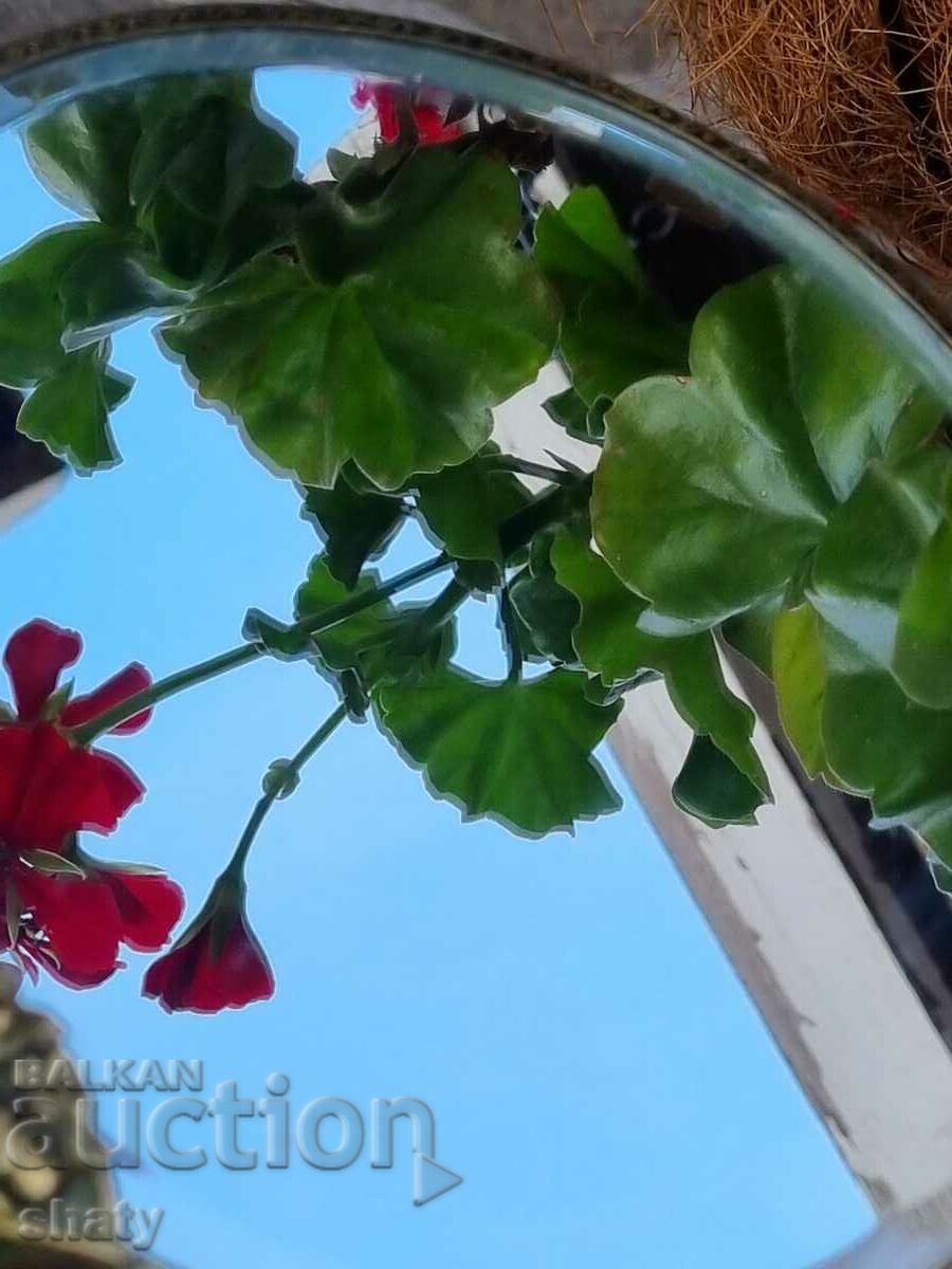 Old bronze mirror - 5