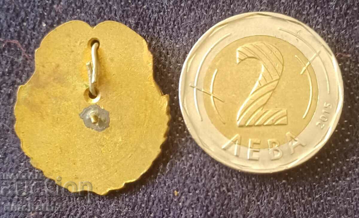 Auction A rare sign. DSNM Hristo Botev Auction A rare sign. DSNM Hristo Botev