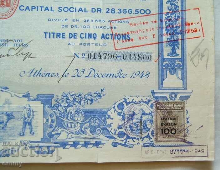 Action - a company for chemical products and fertilizers, Greece, 1948 - 6