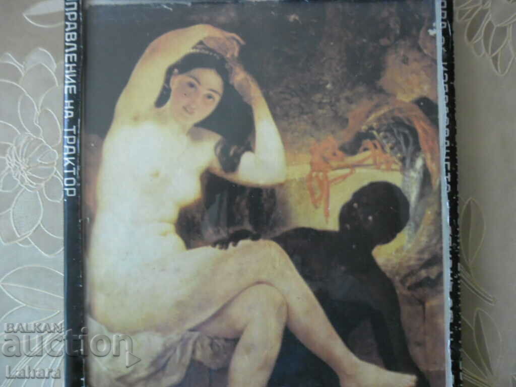 Pictură de casă dintr-o placă de metal veche cu preț 10.00 BGN | € 5.11