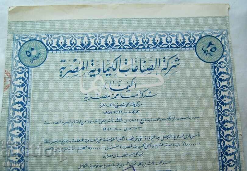 Share 25 shares - Chemical Industry Company, Egypt with price 12.00 BGN | € 6.14