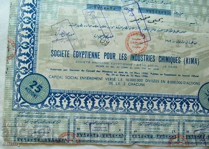 Delivery of Share 25 shares - Chemical Industry Company, Egypt
