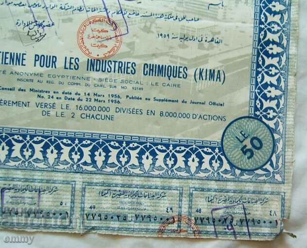 Share 25 shares - Chemical Industry Company, Egypt - 5