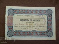 Action, check, voucher, document, BGN 100, 1925