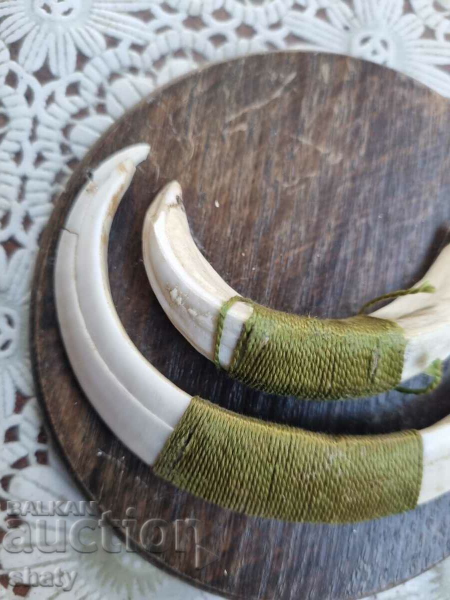 Трофей от глиган. Зъби от глиган. с цена 65.00 лв. | € 33.23 Трофей от глиган. Зъби от глиган. с цена 65.00 лв. | € 33.23