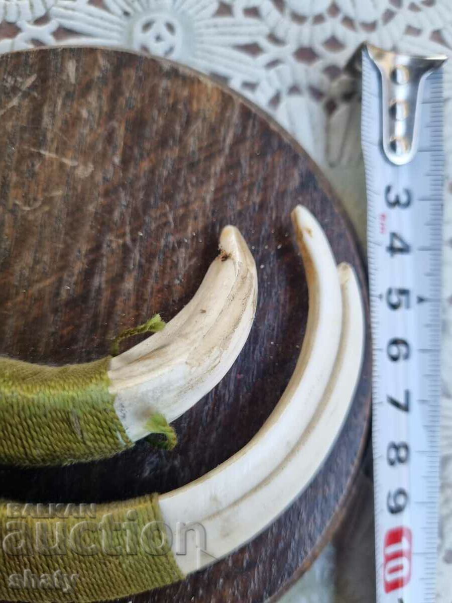 Аукцион Трофей от глиган. Зъби от глиган. Аукцион Трофей от глиган. Зъби от глиган.