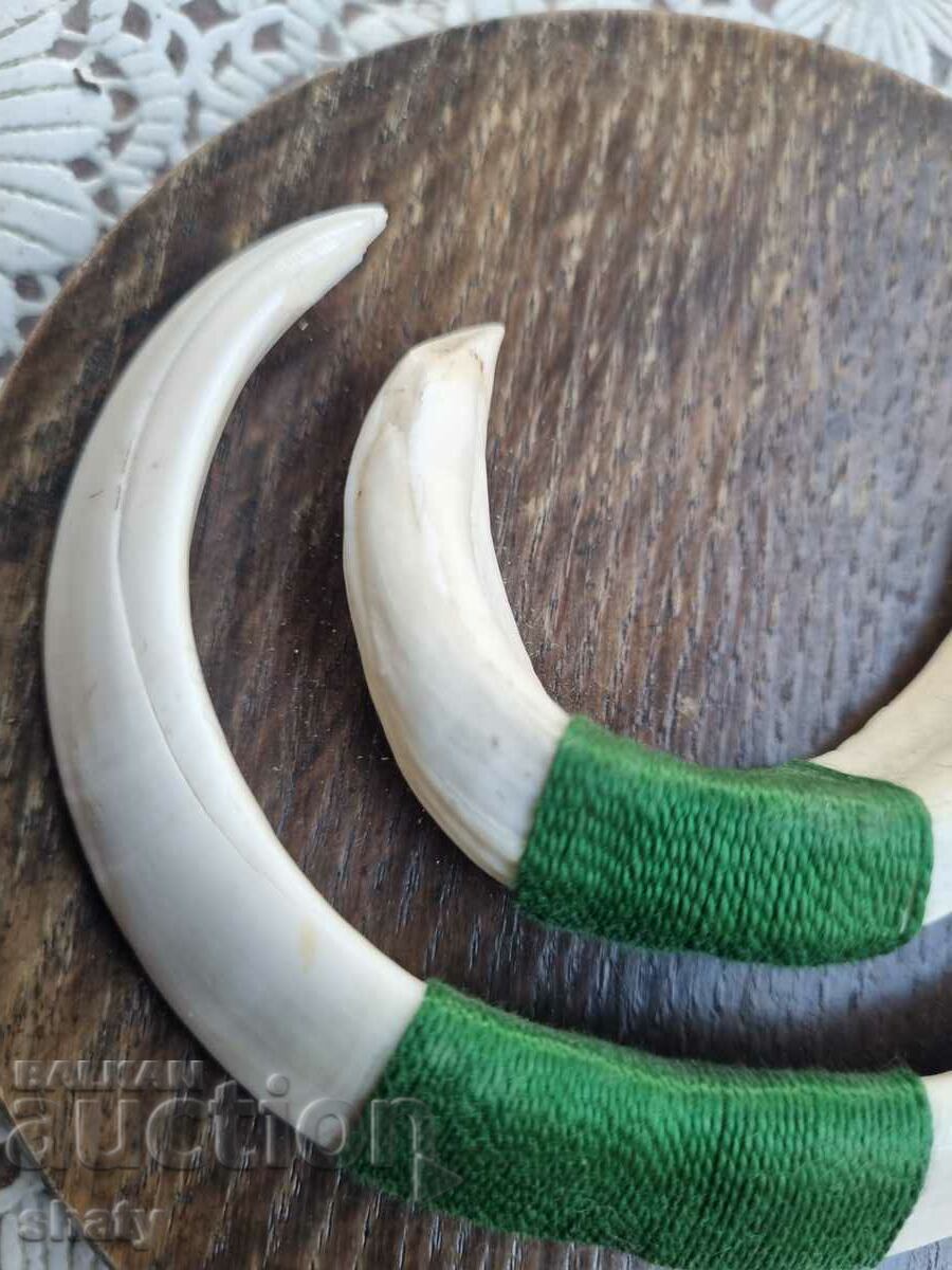 Trofeu de mistreț. Dinți de mistreț. cu preț 65.00 BGN | € 33.23 Trofeu de mistreț. Dinți de mistreț. cu preț 65.00 BGN | € 33.23