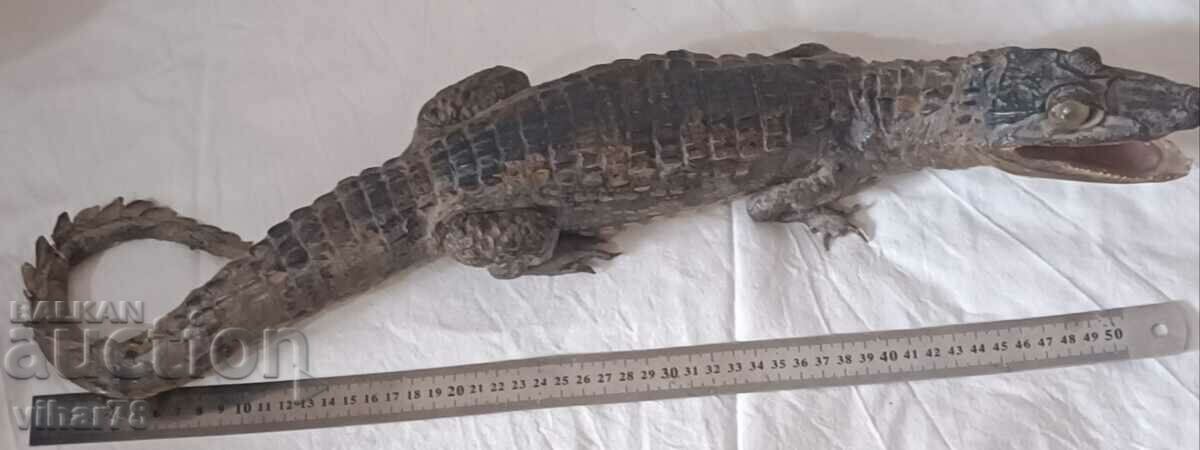 Stuffed crocodile with price 499.99 BGN | € 255.64 Stuffed crocodile with price 499.99 BGN | € 255.64