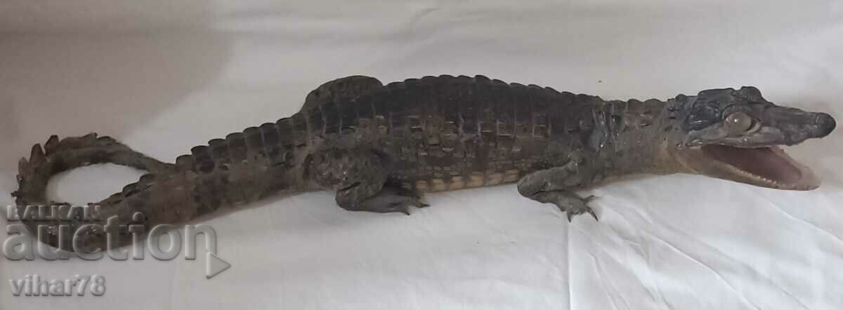 Auction Stuffed crocodile Auction Stuffed crocodile