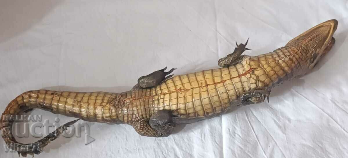 Stuffed crocodile - 5 Stuffed crocodile - 5