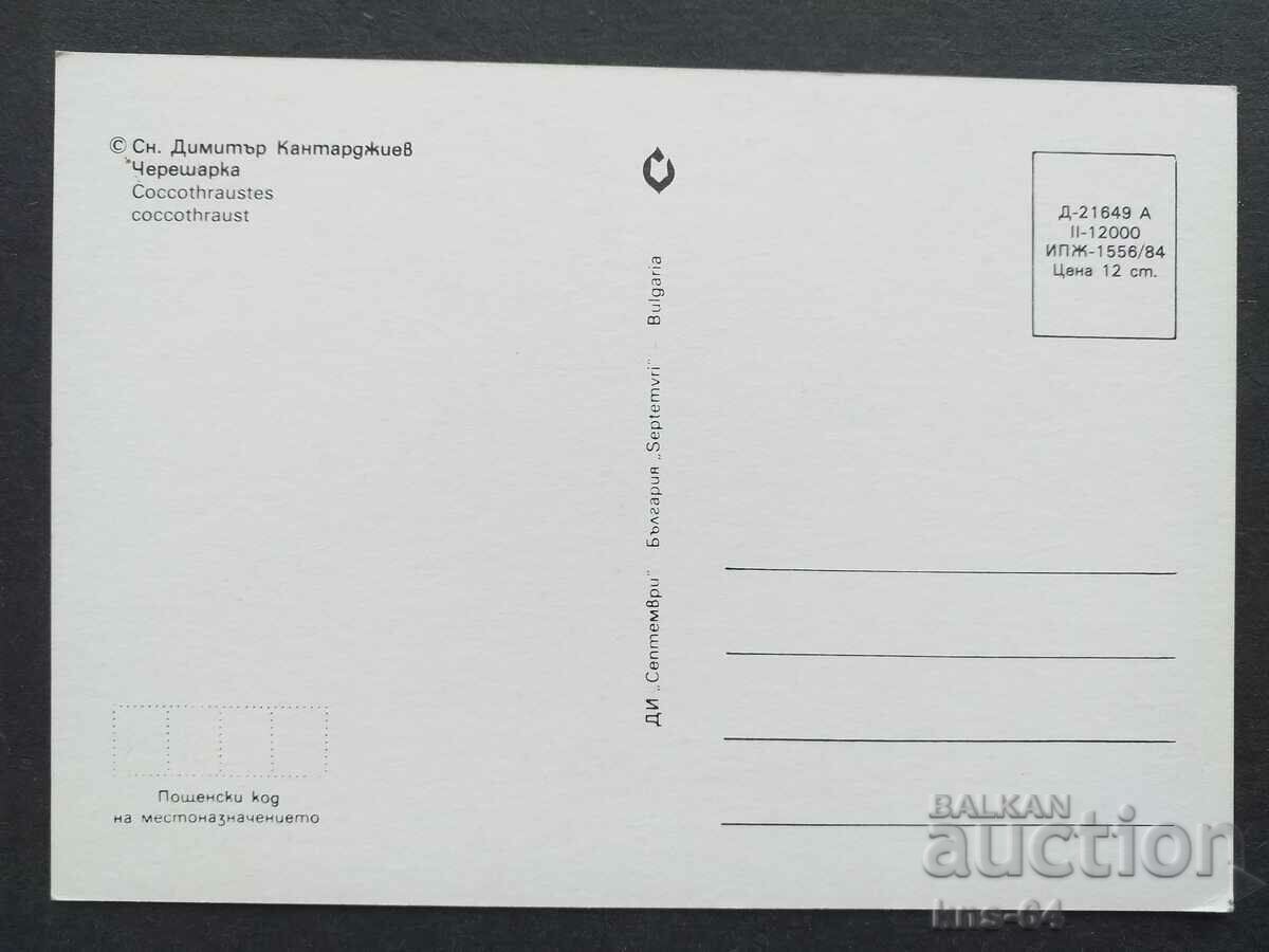 Bulgaria card with price 0.60 BGN | € 0.31 Bulgaria card with price 0.60 BGN | € 0.31