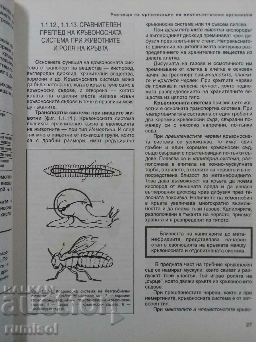 Licitație Biologie și altele. educatie - 10 kl- PP - Petar Popov, Prosv Licitație Biologie și altele. educatie - 10 kl- PP - Petar Popov, Prosv