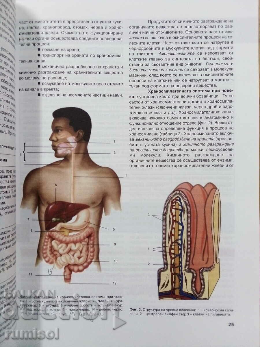 Auction Biology and others. education - 10 cl- PP - Maria Shishinova Auction Biology and others. education - 10 cl- PP - Maria Shishinova