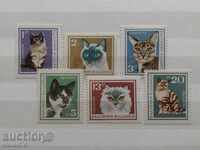 - 50% Βουλγαρία σειράς "Cats" №1774 / 79 από το 1967 π.Χ..