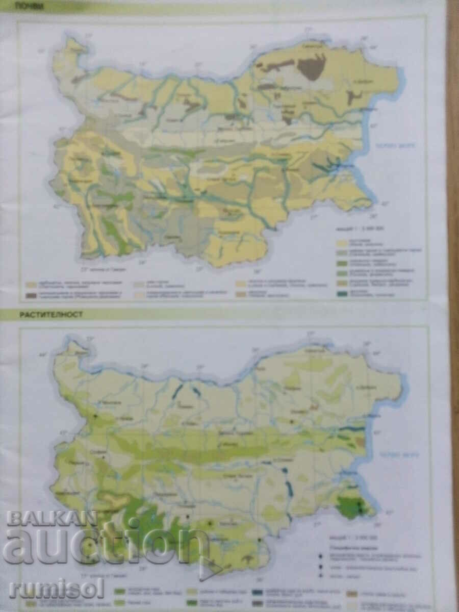 Auction  Geographical atlas -10 kl, Mimosa Konteva, Atlases