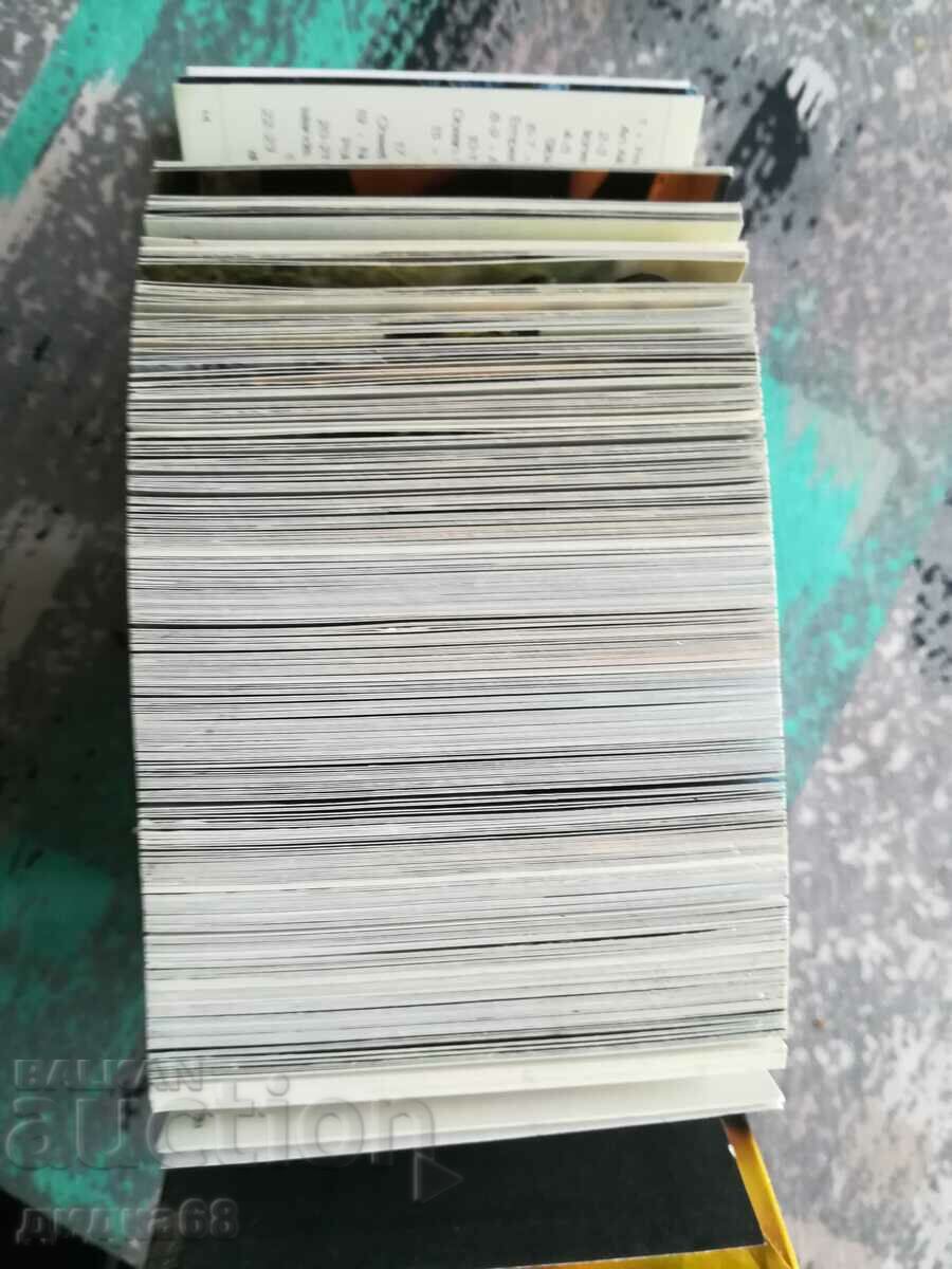 Wildlife / Mini Cube Book with price 20.00 BGN | € 10.23 Wildlife / Mini Cube Book with price 20.00 BGN | € 10.23