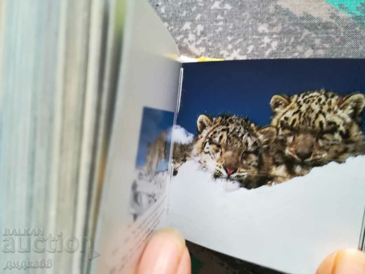 Delivery of Wildlife / Mini Cube Book Delivery of Wildlife / Mini Cube Book