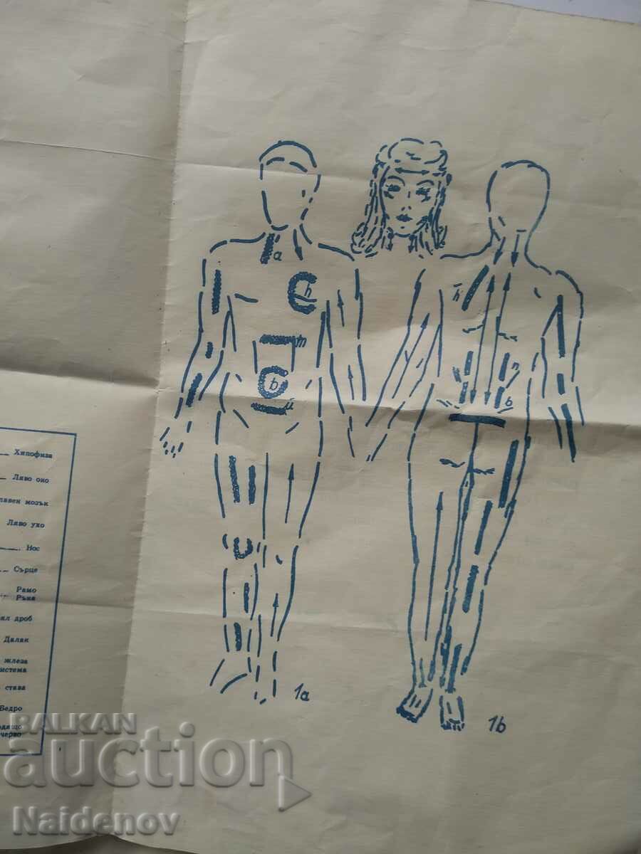 Soca massager works - 5 Soca massager works - 5