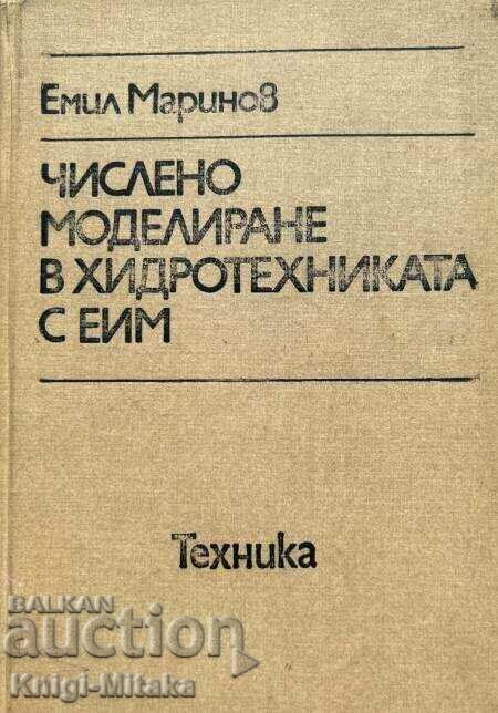 Αριθμητική μοντελοποίηση στην υδραυλική μηχανική με την EIM - Emil Marinov