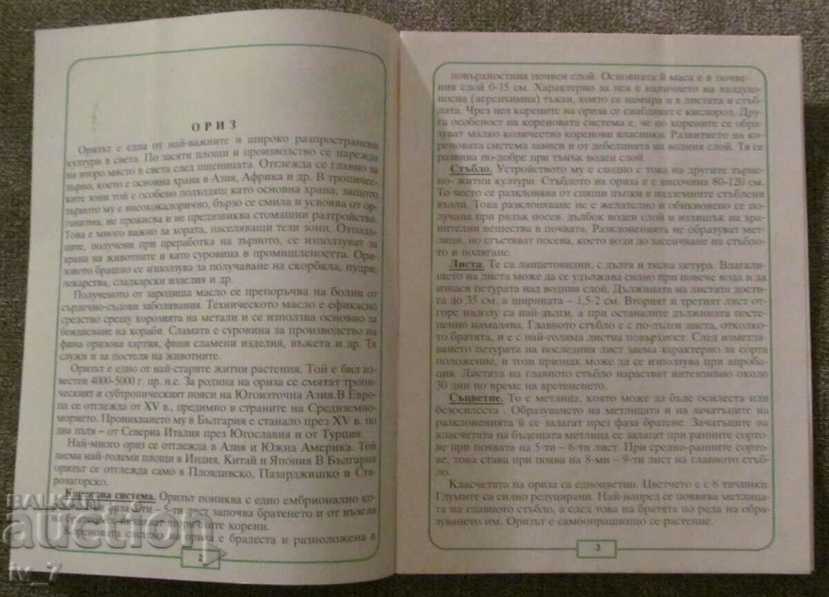 BROCHURE - RICE with price 0.79 BGN | € 0.40 BROCHURE - RICE with price 0.79 BGN | € 0.40