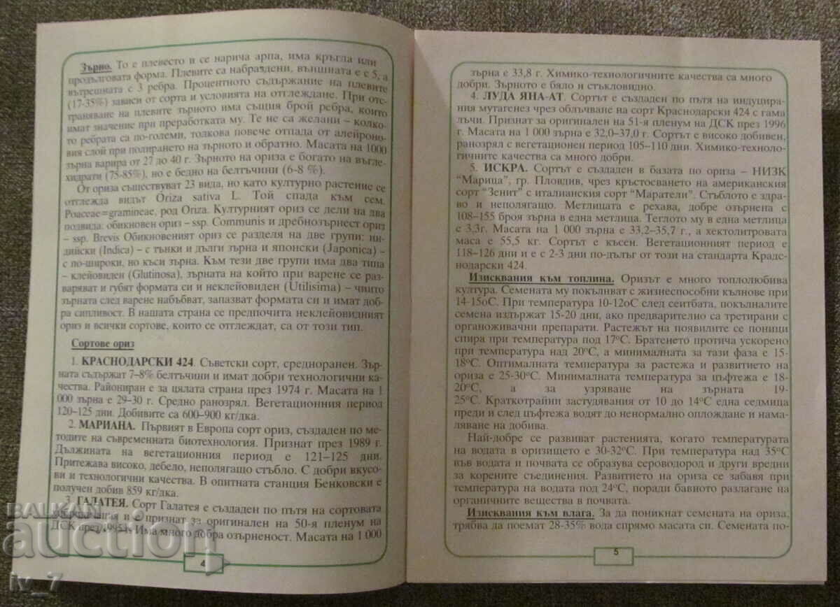 Auction BROCHURE - RICE Auction BROCHURE - RICE