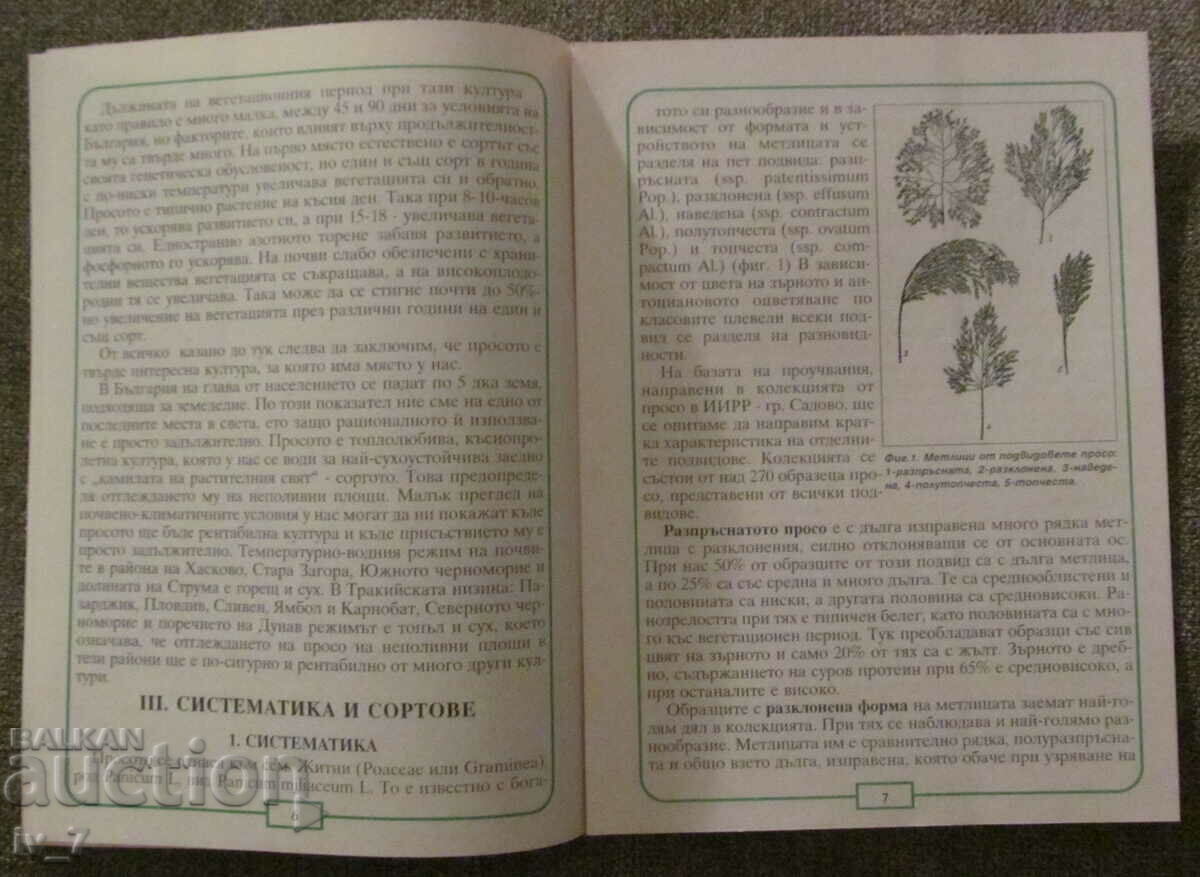 Auction BROCHURE - MILLET Auction BROCHURE - MILLET