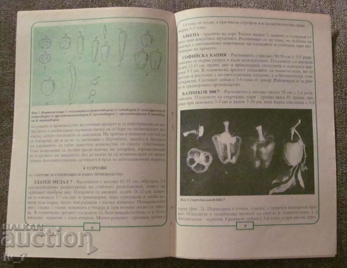 Δημοπρασία ΜΠΡΟΣΟΥΡΑ - ΠΙΠΕΡΙ Δημοπρασία ΜΠΡΟΣΟΥΡΑ - ΠΙΠΕΡΙ