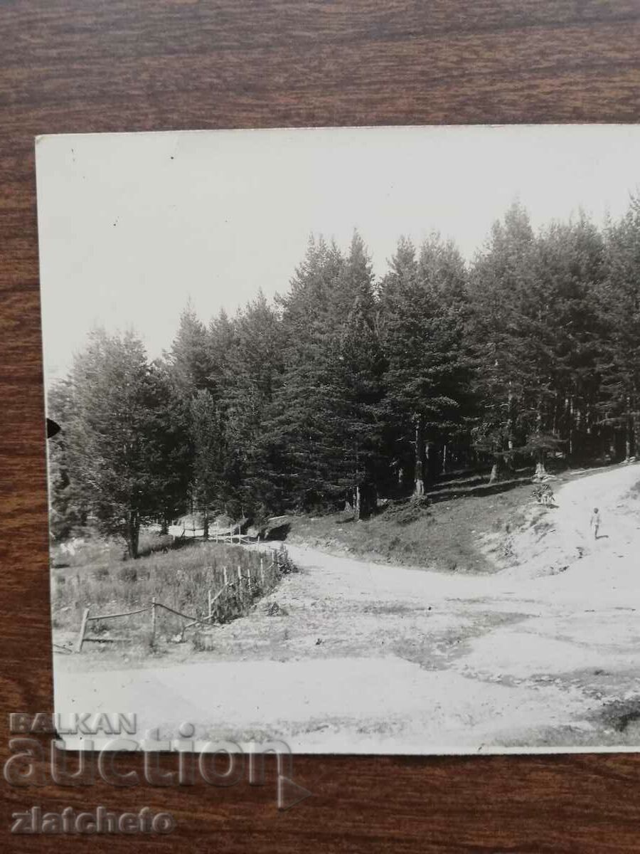 Auction Old photo Kingdom of Bulgaria - White Church Auction Old photo Kingdom of Bulgaria - White Church