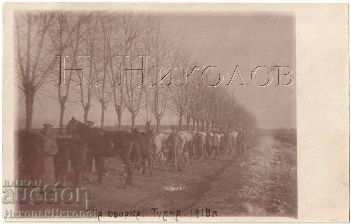1918 OLD PHOTO PSV MILITARY MORTAR OF OBORKA G464