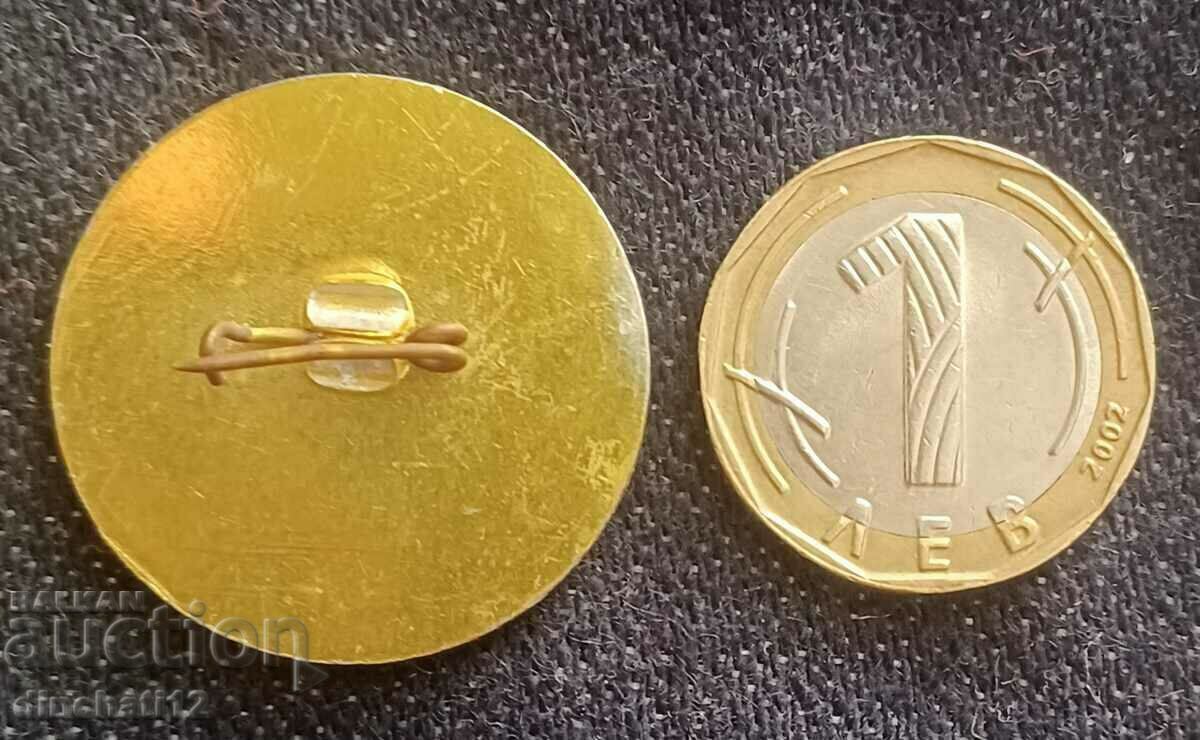 Аукцион Равнополска пролет. Музикален фестивал Елин Пелин Аукцион Равнополска пролет. Музикален фестивал Елин Пелин