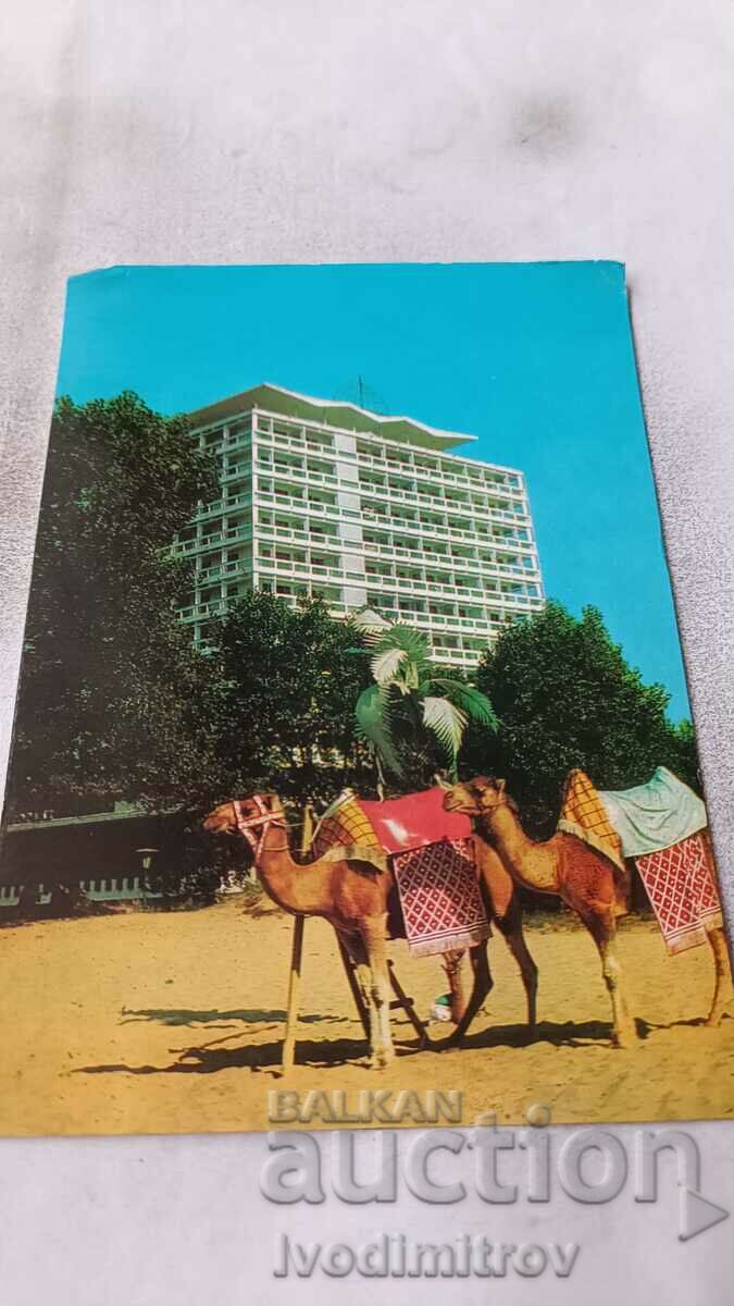Καρτ ποστάλ Sunny Beach View