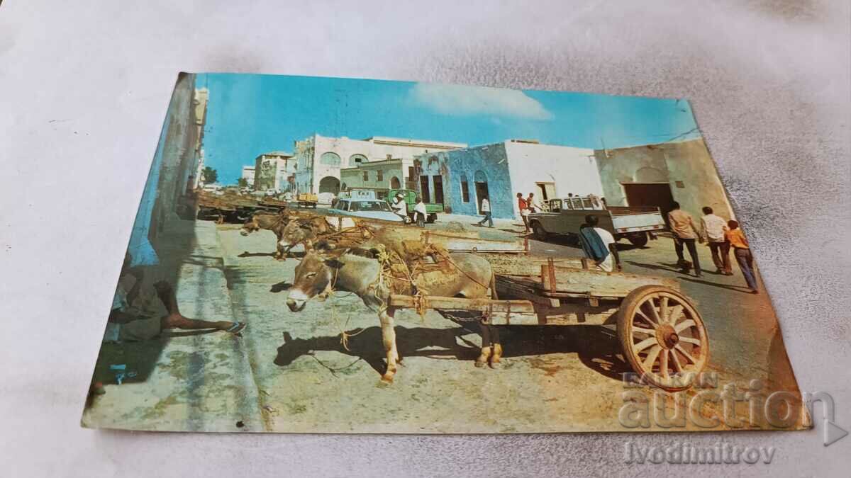 Postcard Rue de Djibouti