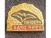 Insigna - pestera Bacho Kiro 1937. TURISM BULGARIA