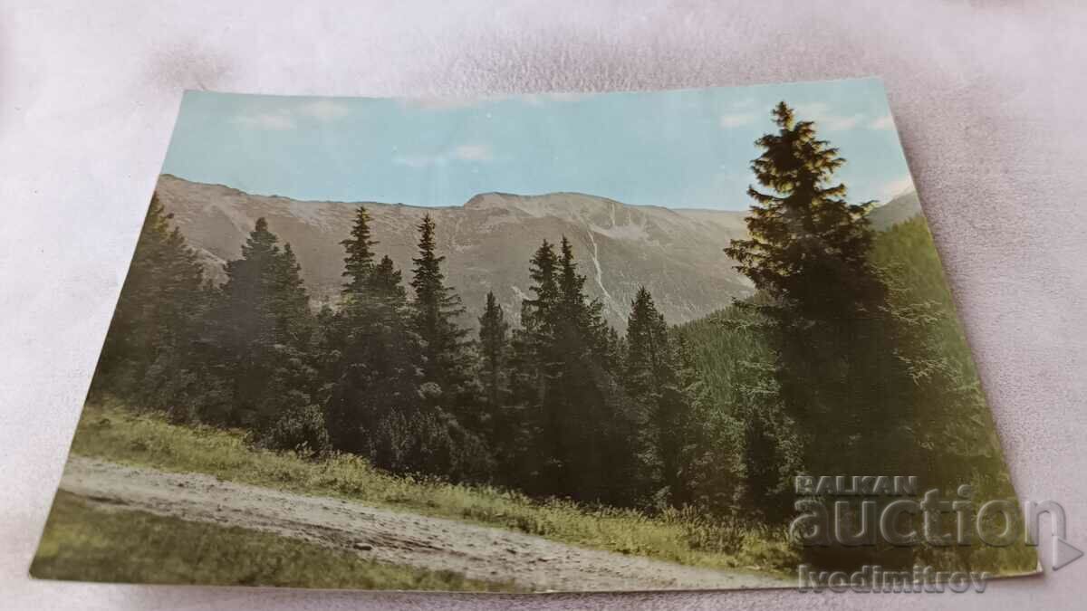 Пощенска картичка Боровец Местността Сарагьол 1961