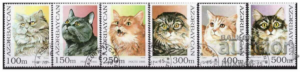 AZERBAIJAN 1995 Cats STO series