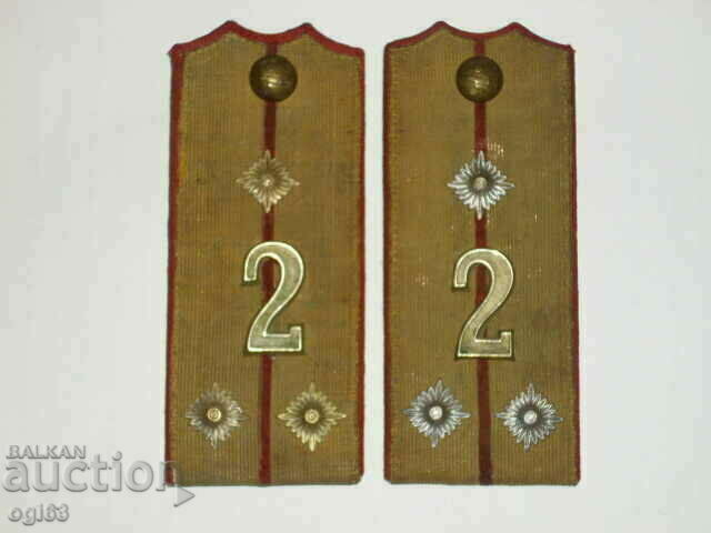 Royal epaulettes 6