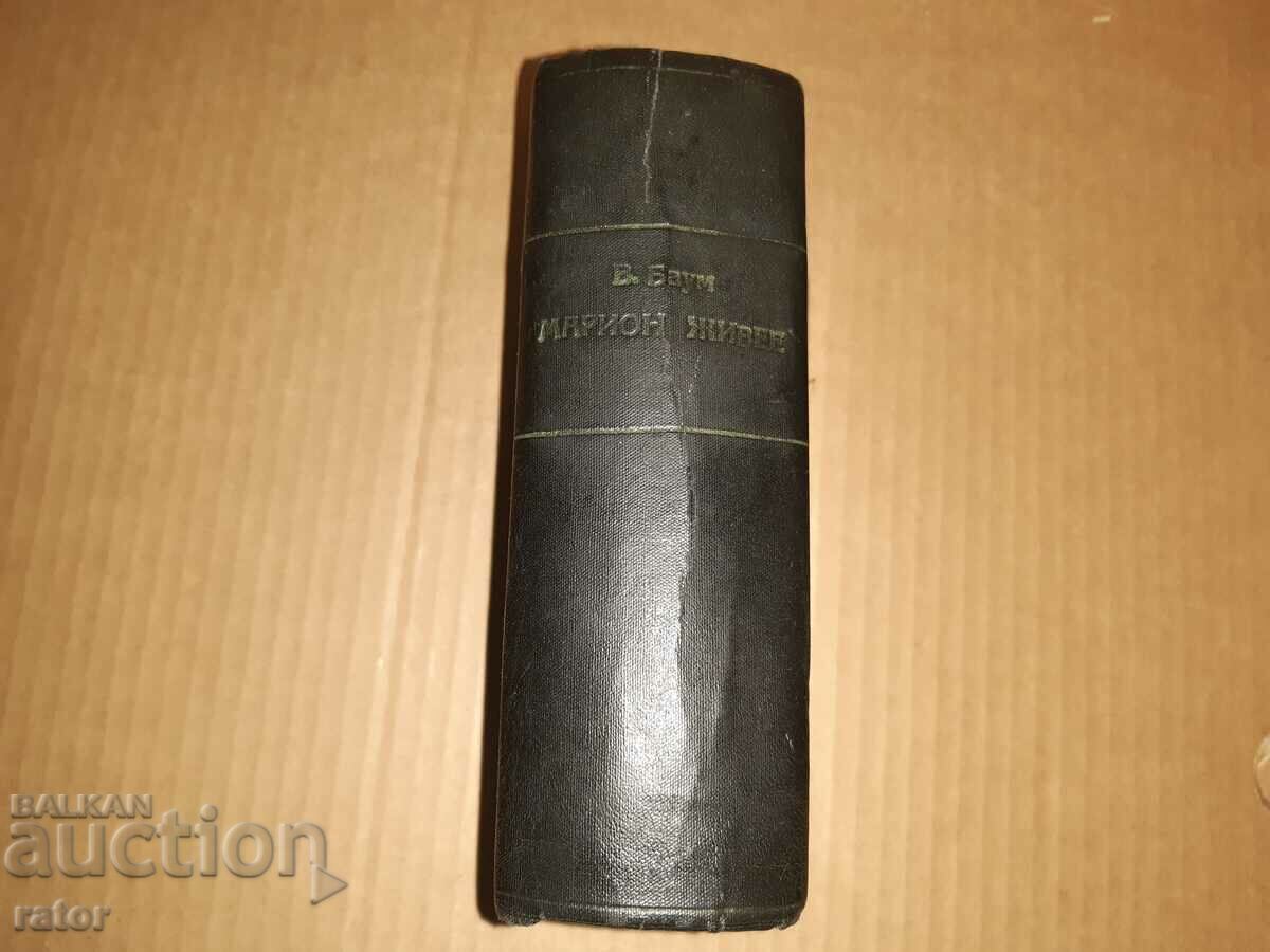 Auction  Old book MARION LIVES - Vicky Baum. Kingdom of God