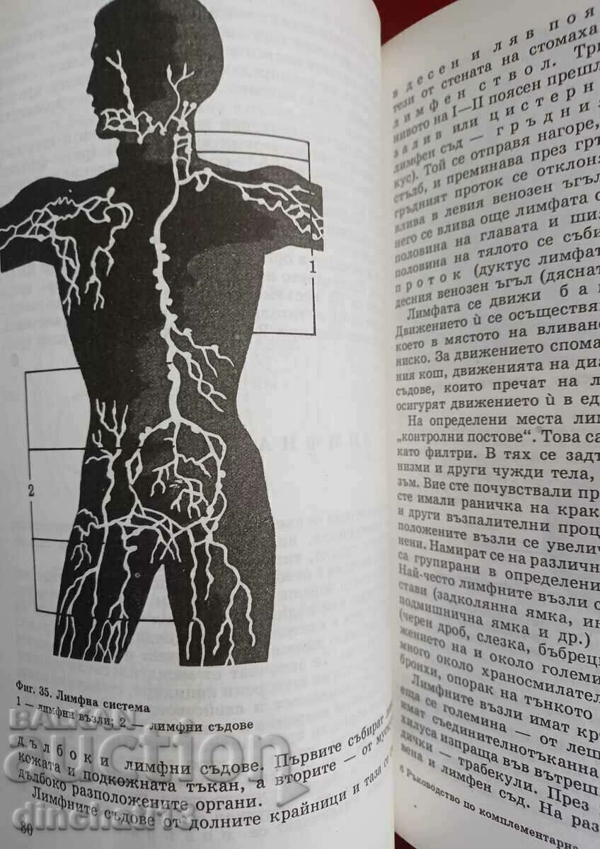 Auction Guide to complementary medicine: Valeria Evtimova Auction Guide to complementary medicine: Valeria Evtimova