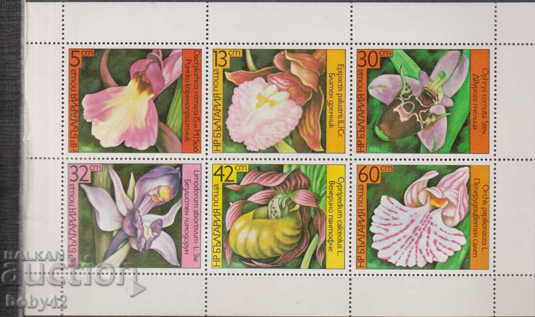 BK3482-3488 block sheet Orchids