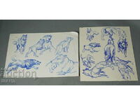 Ioto Metodiev 2 Drawings Picture Drawing animals dogs wolves