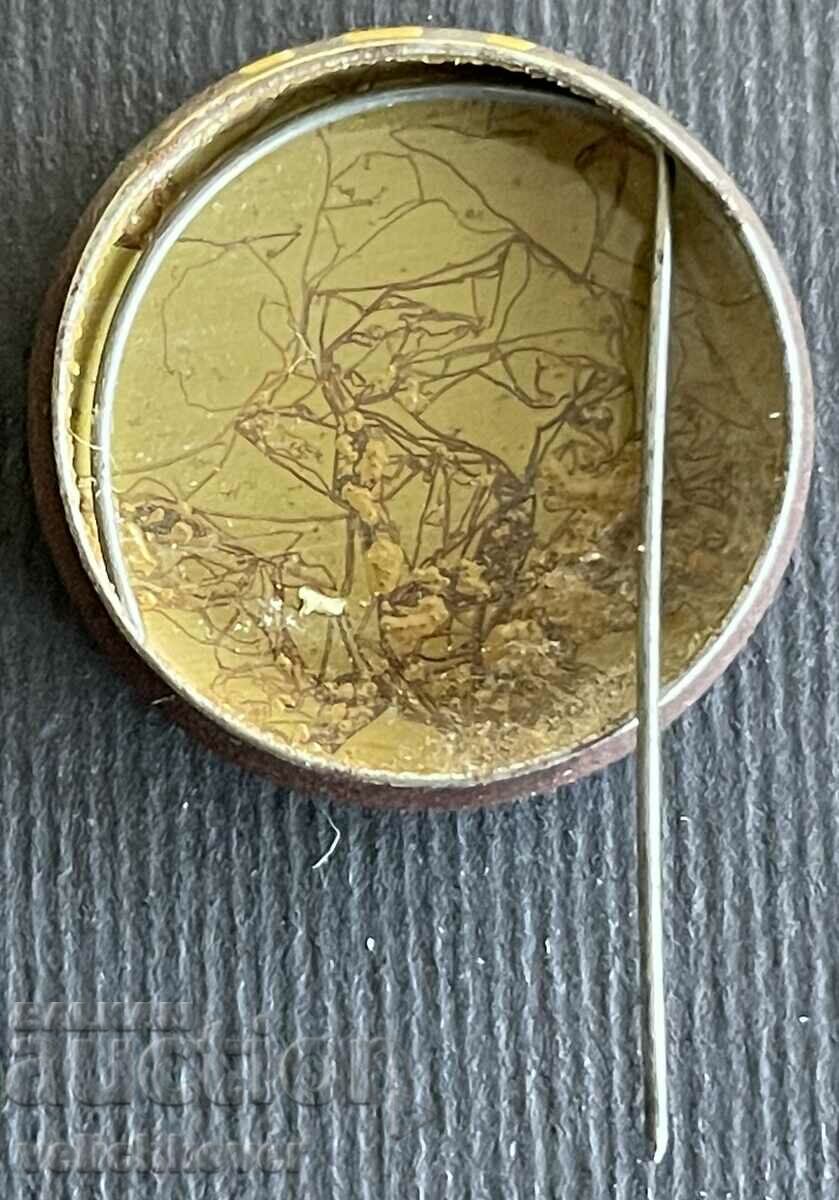 36162 USSR Space Badge 1980s with price 3.00 BGN | € 1.53 36162 USSR Space Badge 1980s with price 3.00 BGN | € 1.53