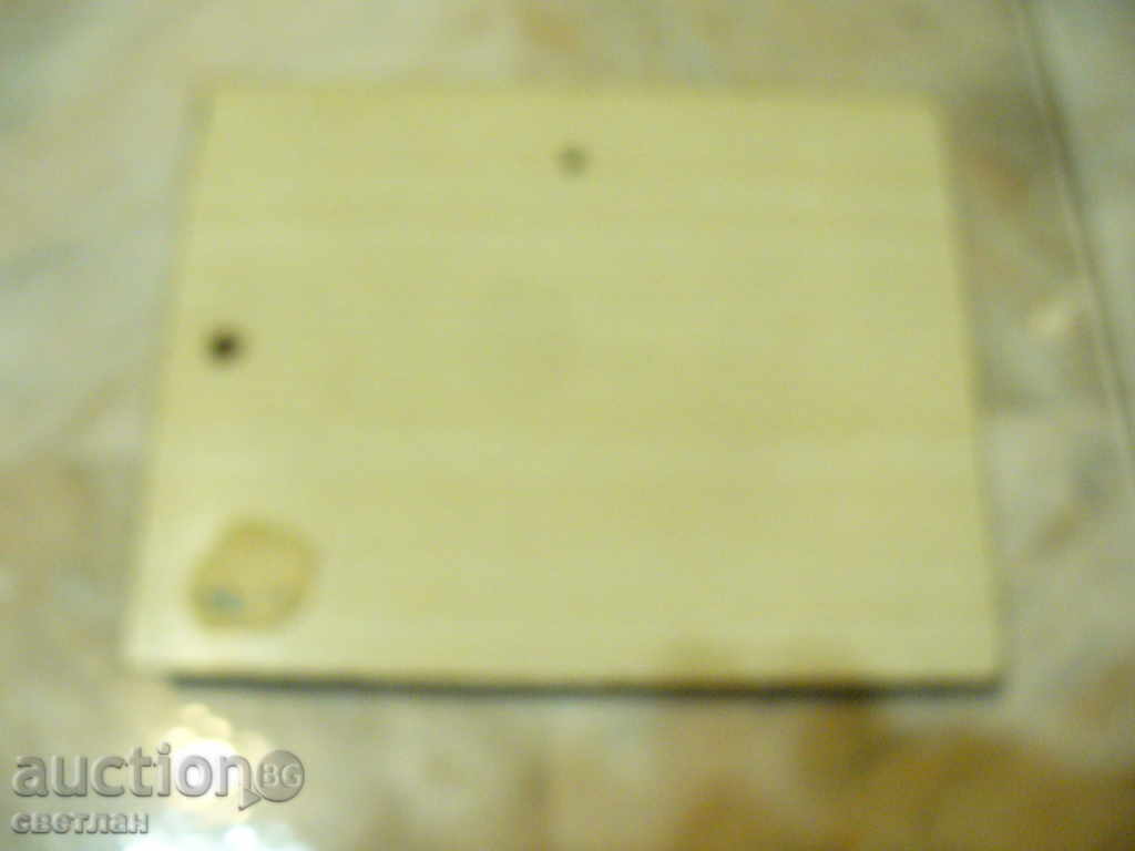 Auction  COPPER PANEL