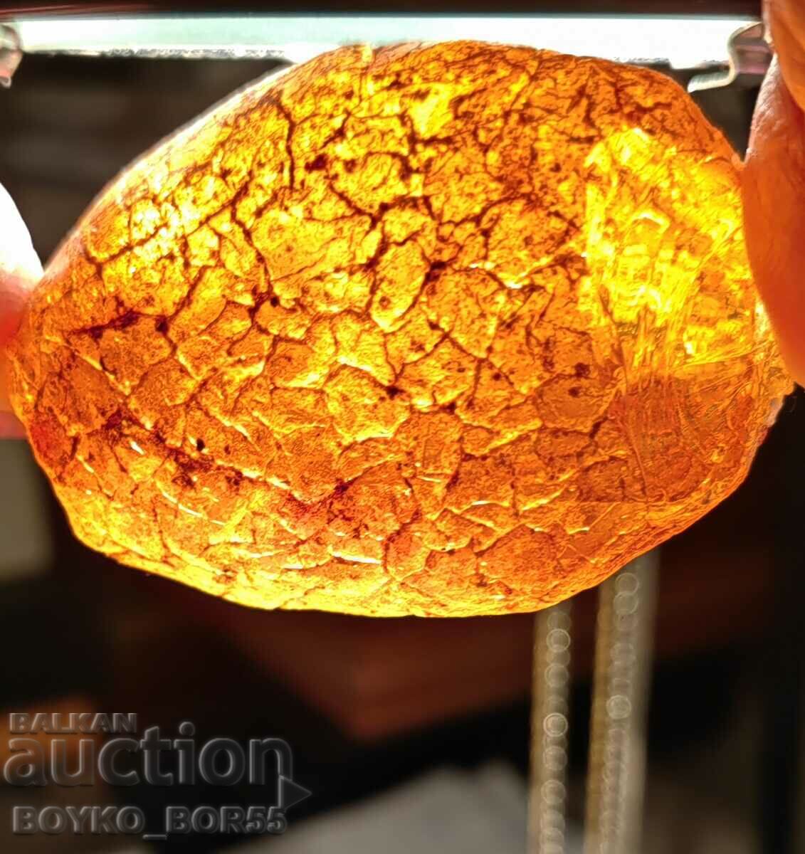Large Natural Unprocessed Amber Amber 210.8 carats