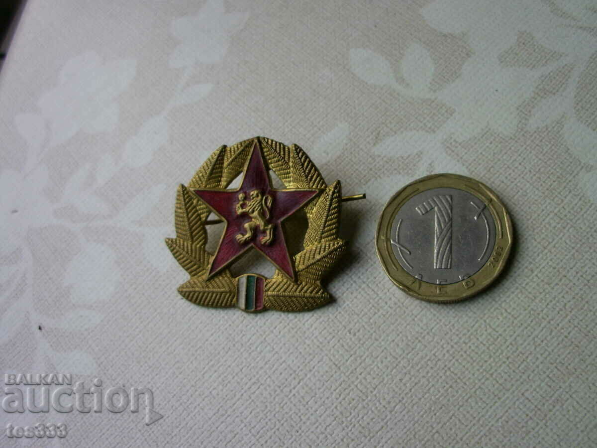 Δημοπρασία Κοκκά BNA