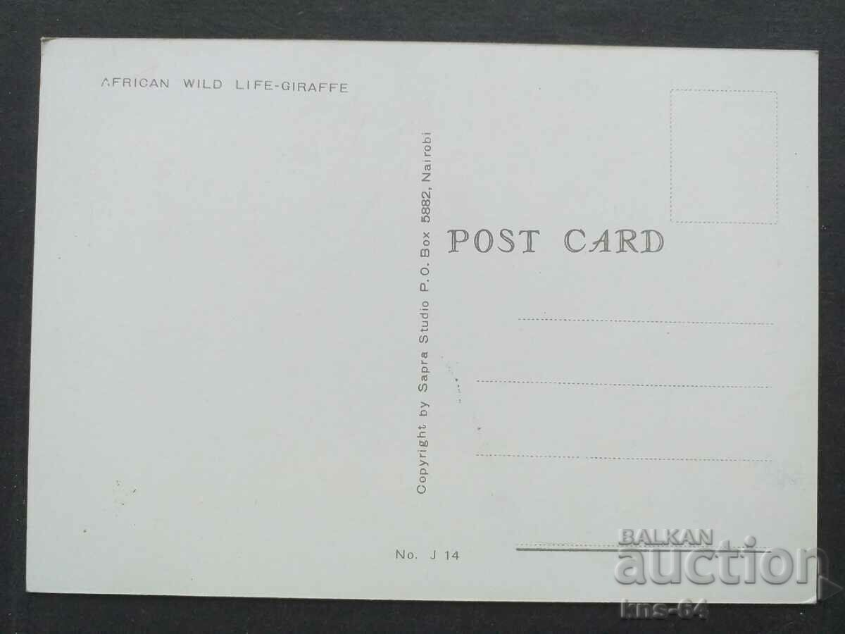 Africa Animals with price 1.50 BGN | € 0.77 Africa Animals with price 1.50 BGN | € 0.77