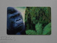 Gorilla Sound Card - Germany 2001