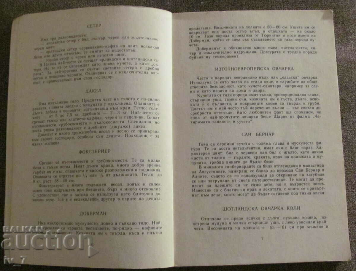 Auction ANIMALS IN HOUSES - Miroslav Husch Auction ANIMALS IN HOUSES - Miroslav Husch