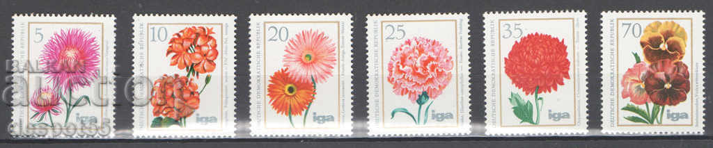 1975. GDR. Flowers.