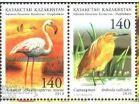 Pure stamps Fauna Birds 2010 from Kazakhstan